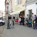 Meublé Flora Pour Voyageur Pro - Centre, Calme - Wi-fi Apartamento Haguenau