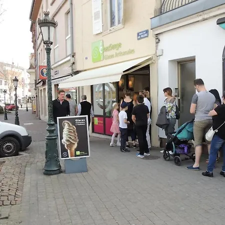 Meuble Flora Pour Voyageur Pro - Centre, Calme - Wi-fi Lejlighed Haguenau