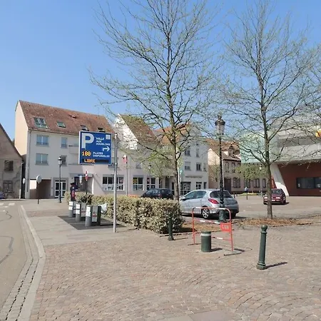 Meublé Flora Pour Voyageur Pro - Centre, Calme - Wi-fi Appartamento Haguenau