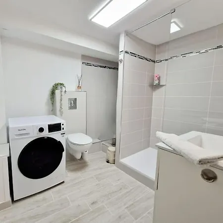 Meublé Flora Pour Voyageur Pro - Centre, Calme - Wi-fi * Haguenau