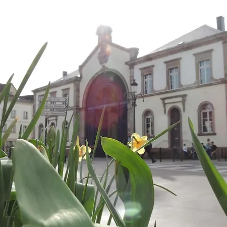 Meublé Flora Pour Voyageur Pro - Centre, Calme - Wi-fi