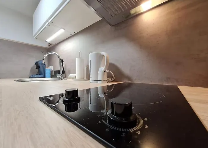 Meuble Flora Pour Voyageur Pro - Centre, Calme - Wi-fi Apartment *