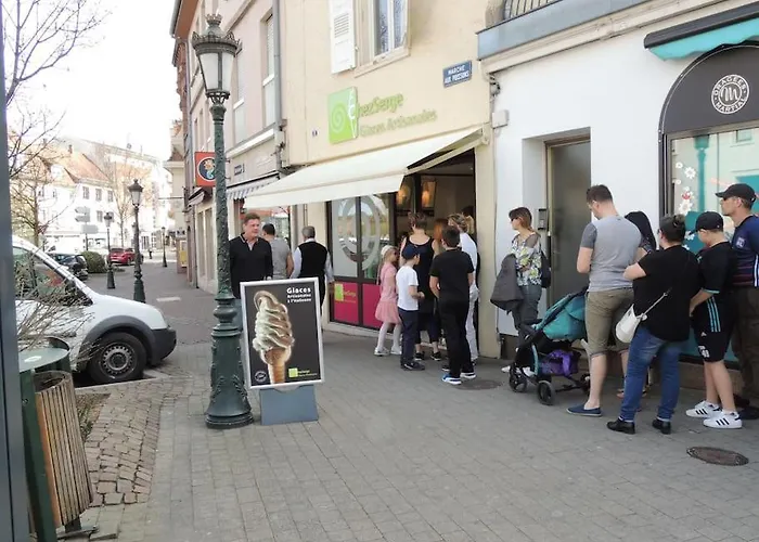 Meuble Flora Pour Voyageur Pro - Centre, Calme - Wi-fi Apartment Hagenau