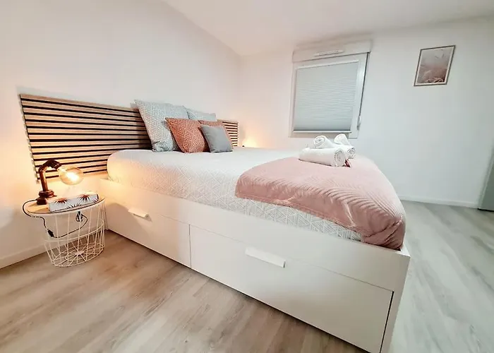 Apartment Meuble Flora Pour Voyageur Pro - Centre, Calme - Wi-fi *