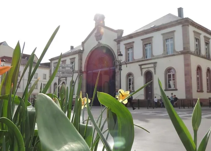 Meuble Flora Pour Voyageur Pro - Centre, Calme - Wi-fi